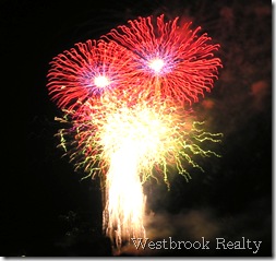 Evanston fireworks close up3