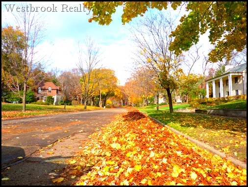 East GR street in fall