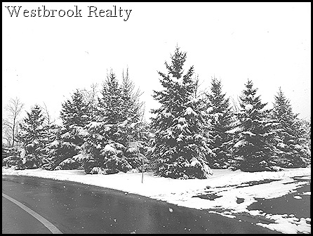 snowcoveredfirtrees thumb Caledonia Michigan Real Estate Market Report – Jan Dec 2009