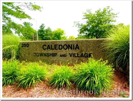 Caledonia MI Township sign