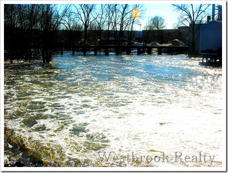 Damopenspringflooding thumb Lowell Michigan Top Best Buy Homes March 2011