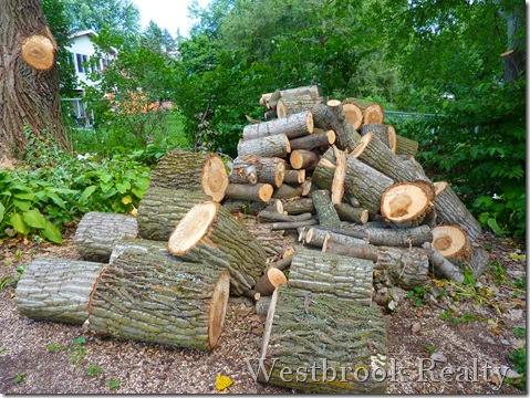 pile of cut wood