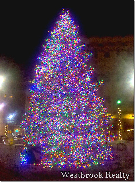 RosaParksCircle_Christmas _tree