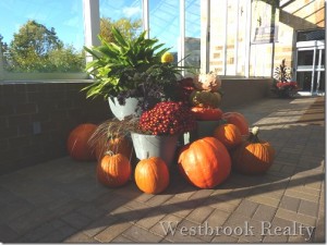Fall pumpkin display