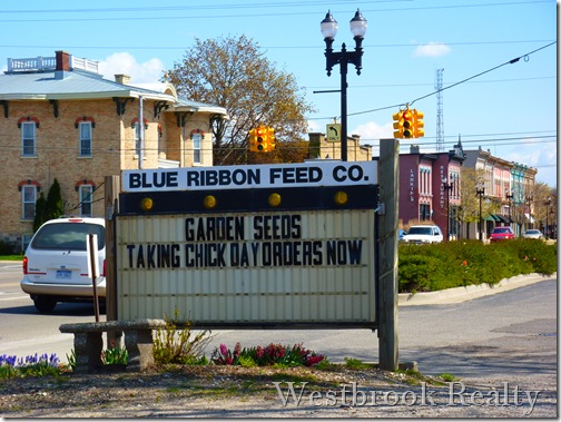Chicks are ready sign